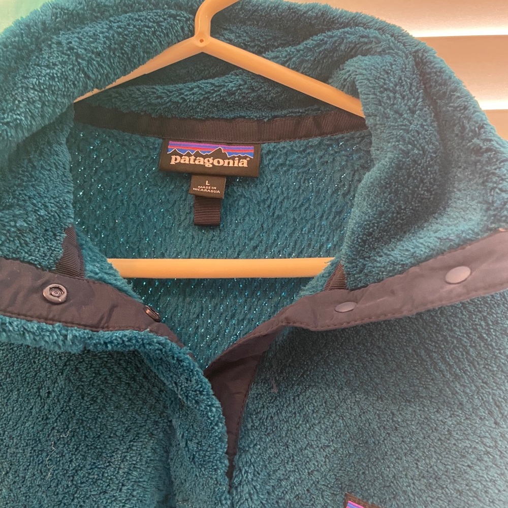 Patagonia - Picture 2 of 2